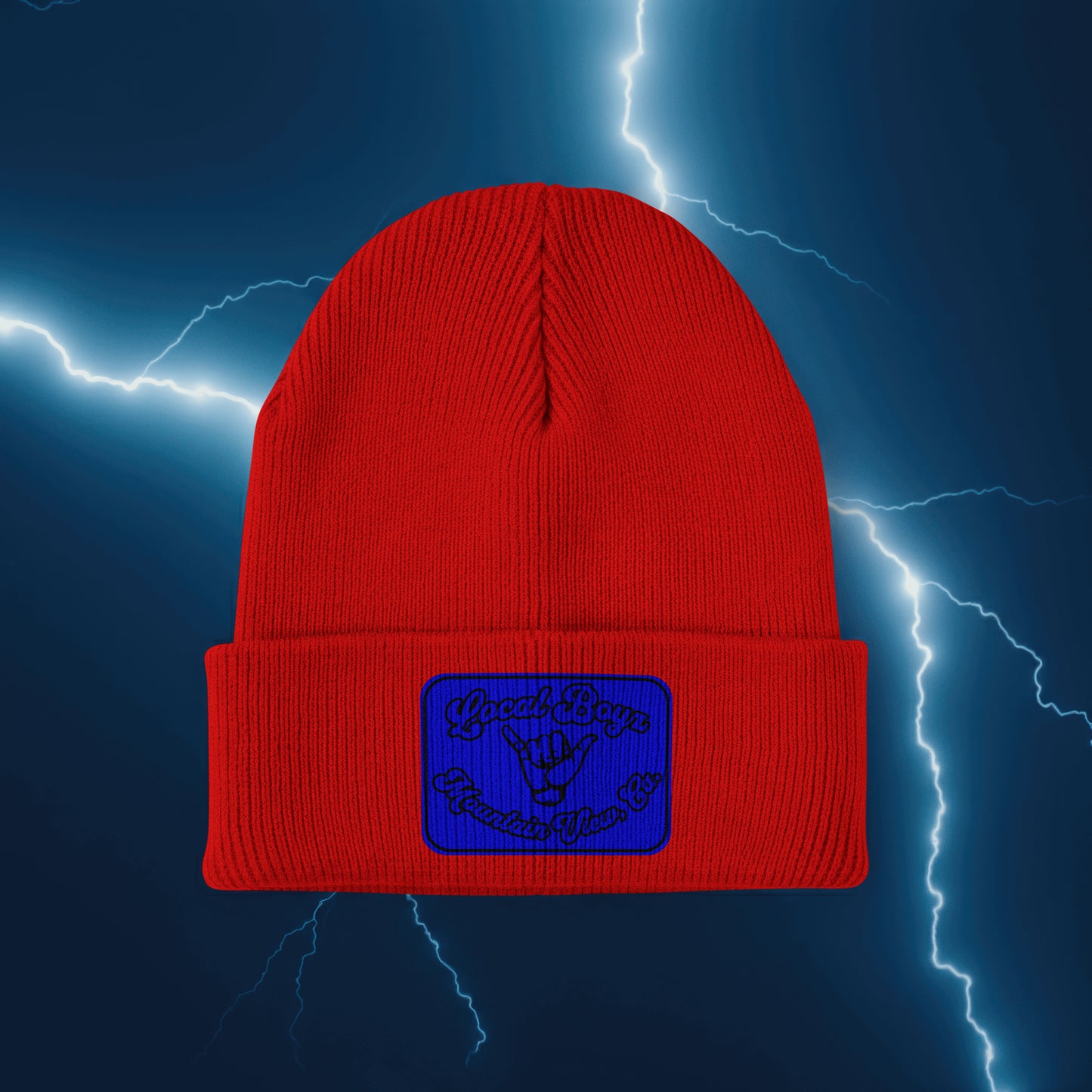 Local Boyz Rectangle Leather Patch Beanie