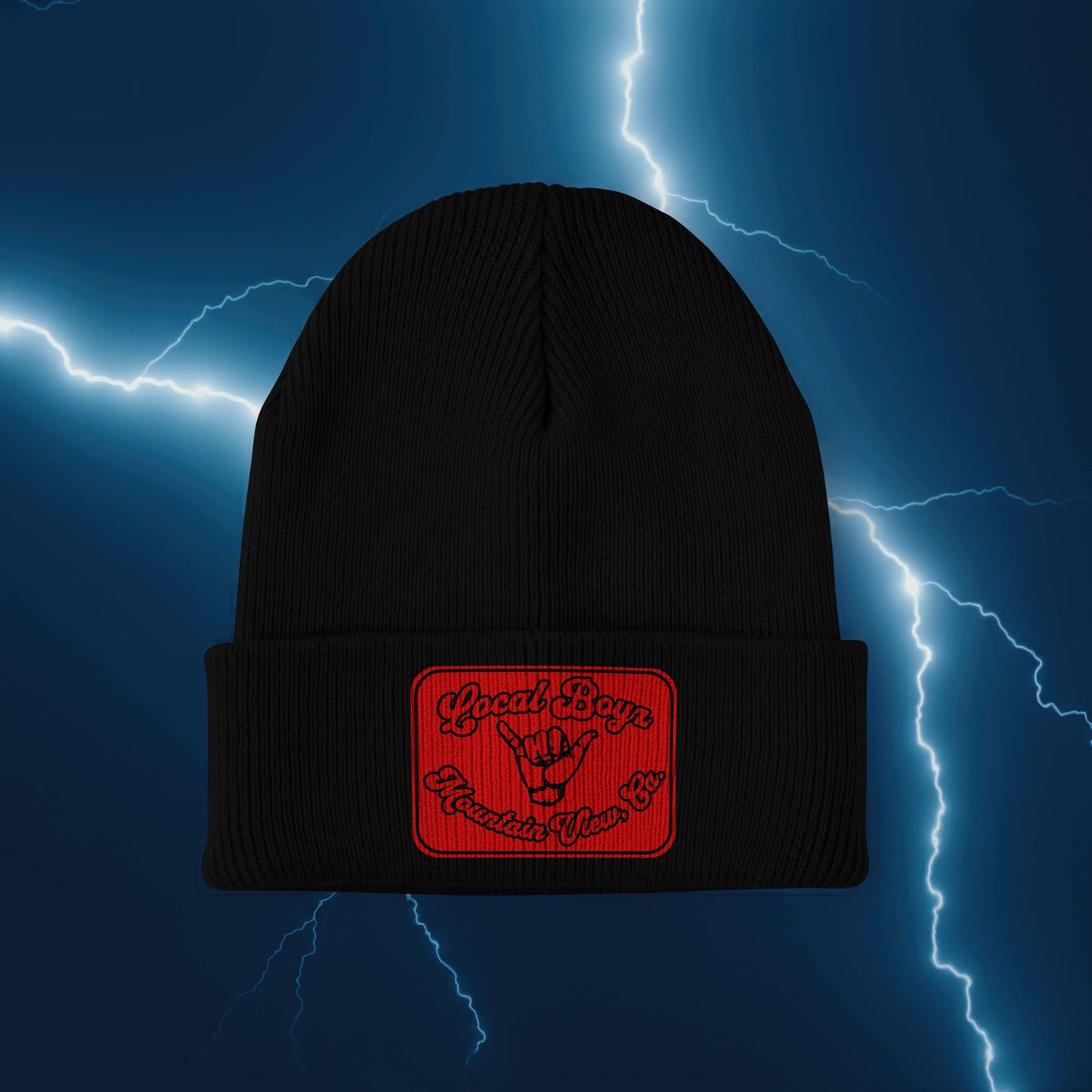 Local Boyz Rectangle Leather Patch Beanie