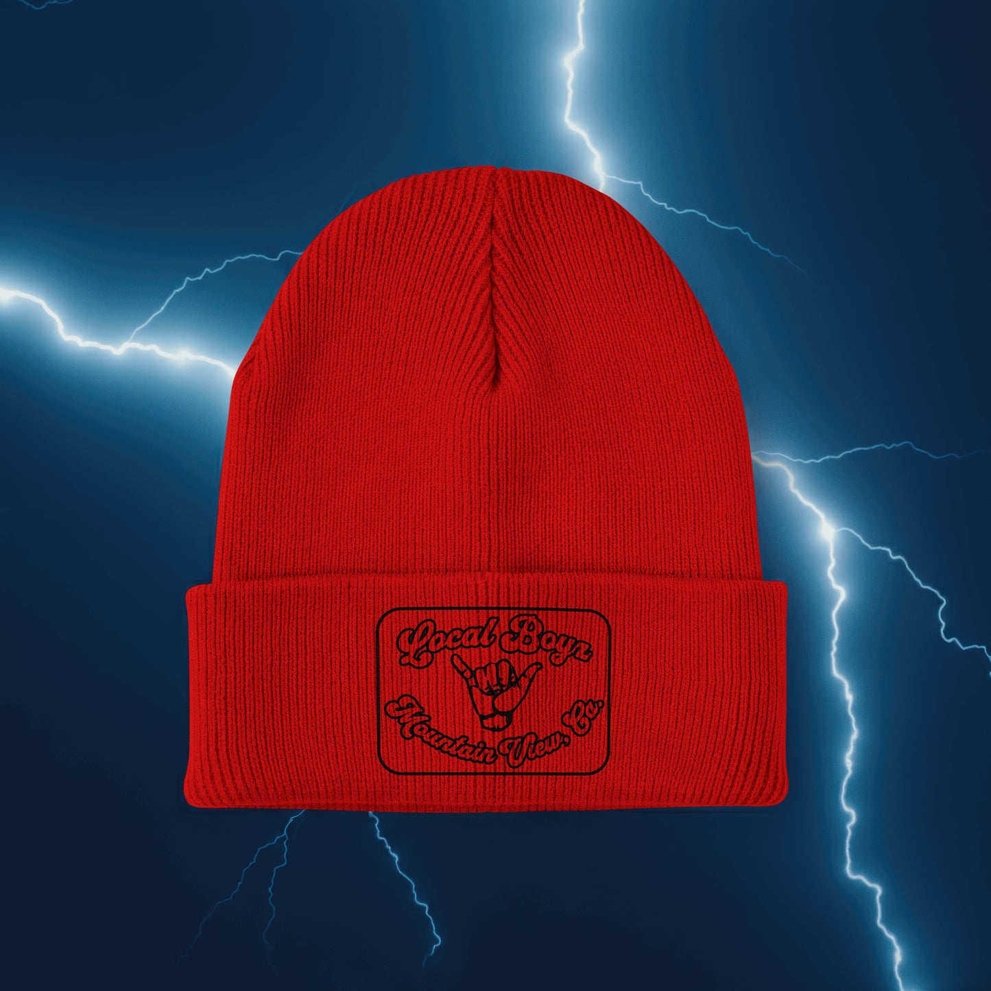 Local Boyz Rectangle Leather Patch Beanie